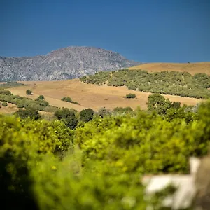 Pajaros San Pablo